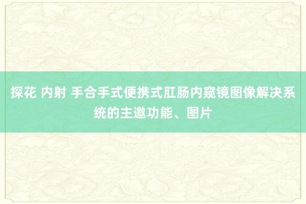 探花 内射 手合手式便携式肛肠内窥镜图像解决系统的主邀功能、图片