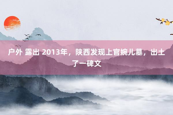 户外 露出 2013年，陕西发现上官婉儿墓，出土了一碑文