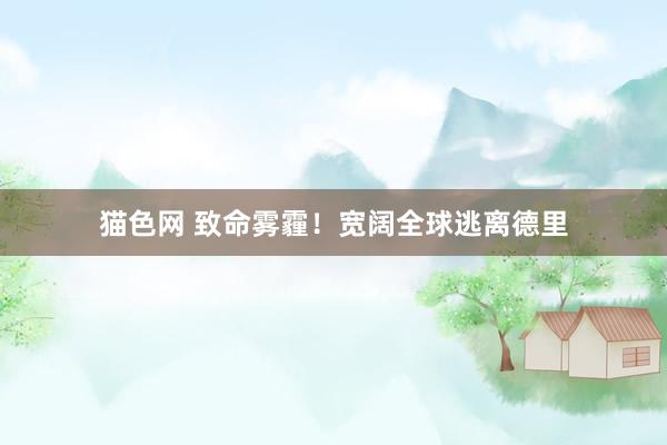猫色网 致命雾霾！宽阔全球逃离德里