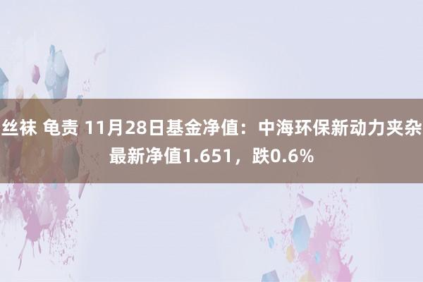 丝袜 龟责 11月28日基金净值：中海环保新动力夹杂最新净值1.651，跌0.6%