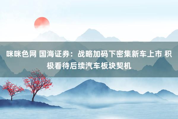 咪咪色网 国海证券：战略加码下密集新车上市 积极看待后续汽车板块契机