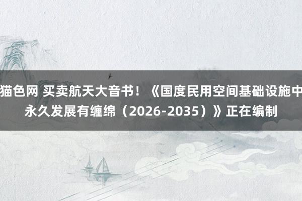 猫色网 买卖航天大音书！《国度民用空间基础设施中永久发展有缠绵（2026-2035）》正在编制