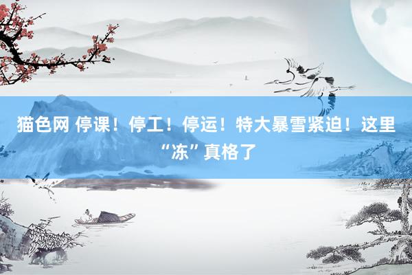 猫色网 停课！停工！停运！特大暴雪紧迫！这里“冻”真格了