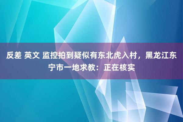 反差 英文 监控拍到疑似有东北虎入村，黑龙江东宁市一地求教：正在核实