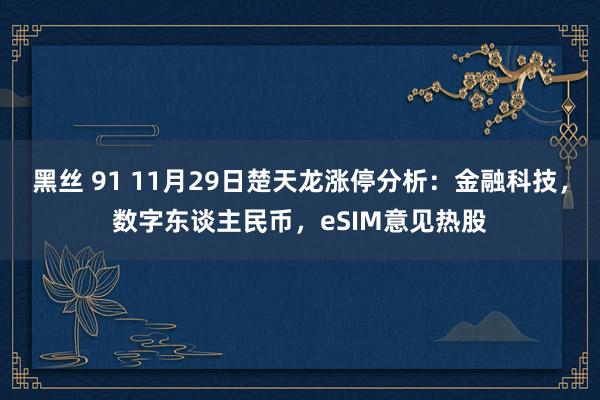 黑丝 91 11月29日楚天龙涨停分析：金融科技，数字东谈主民币，eSIM意见热股