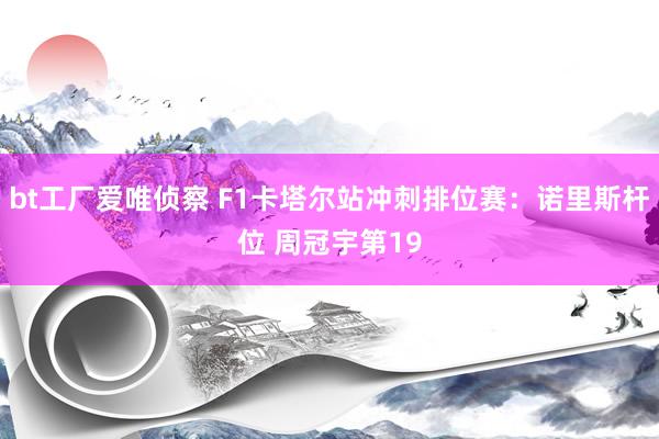 bt工厂爱唯侦察 F1卡塔尔站冲刺排位赛：诺里斯杆位 周冠宇第19