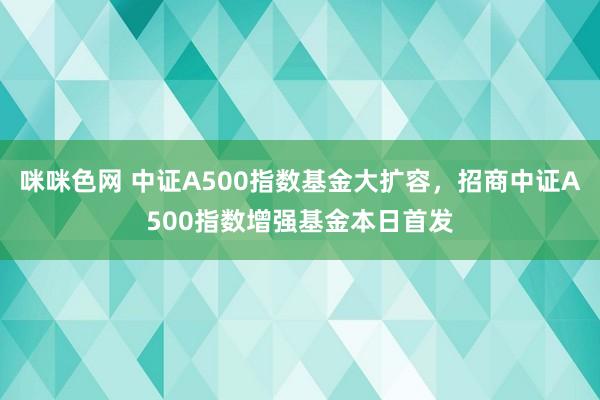 咪咪色网 中证A500指数基金大扩容，招商中证A500指数增强基金本日首发