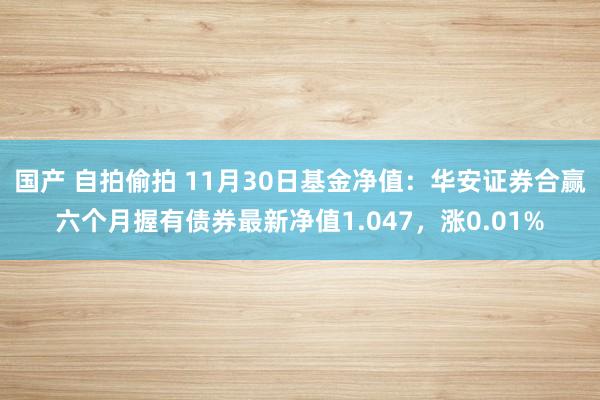 国产 自拍偷拍 11月30日基金净值：华安证券合赢六个月握有债券最新净值1.047，涨0.01%