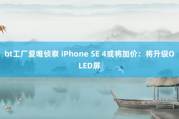 bt工厂爱唯侦察 iPhone SE 4或将加价：将升级OLED屏
