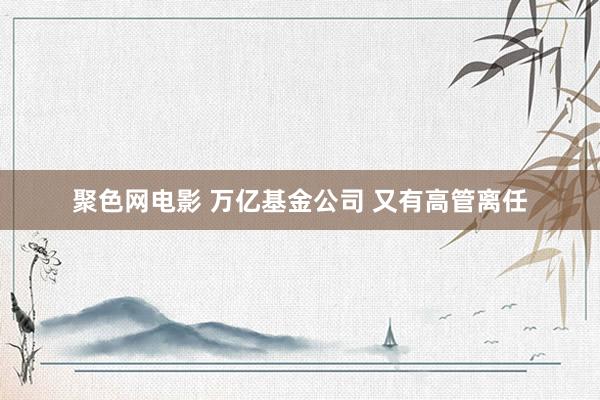 聚色网电影 万亿基金公司 又有高管离任