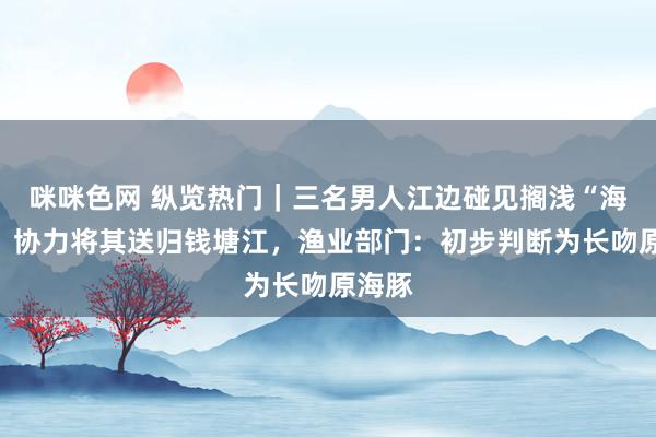 咪咪色网 纵览热门｜三名男人江边碰见搁浅“海豚”，协力将其送归钱塘江，渔业部门：初步判断为长吻原海豚