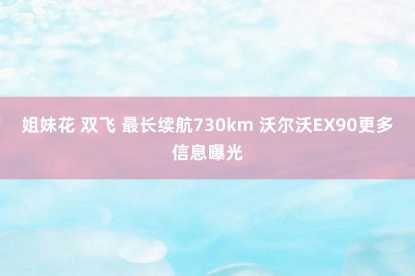 姐妹花 双飞 最长续航730km 沃尔沃EX90更多信息曝光