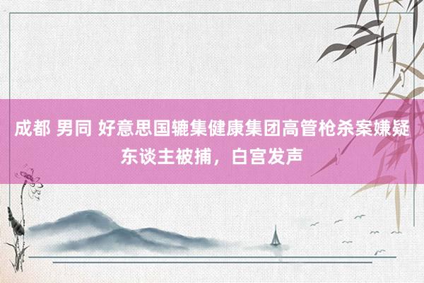 成都 男同 好意思国辘集健康集团高管枪杀案嫌疑东谈主被捕，白宫发声