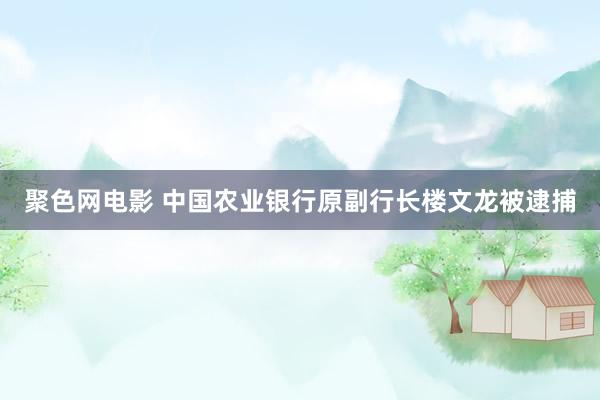 聚色网电影 中国农业银行原副行长楼文龙被逮捕