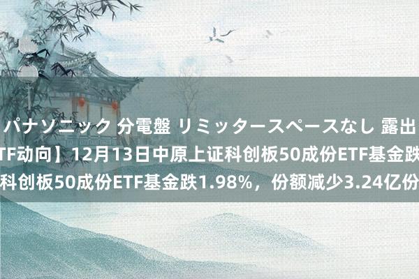 パナソニック 分電盤 リミッタースペースなし 露出・半埋込両用形 【ETF动向】12月13日中原上证科创板50成份ETF基金跌1.98%，份额减少3.24亿份