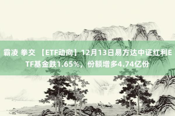 霸凌 拳交 【ETF动向】12月13日易方达中证红利ETF基金跌1.65%，份额增多4.74亿份