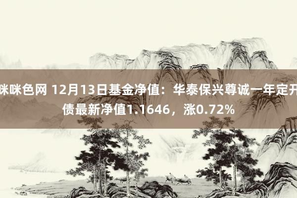 咪咪色网 12月13日基金净值：华泰保兴尊诚一年定开债最新净值1.1646，涨0.72%