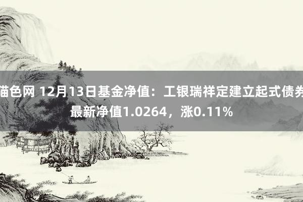 猫色网 12月13日基金净值：工银瑞祥定建立起式债券最新净值1.0264，涨0.11%