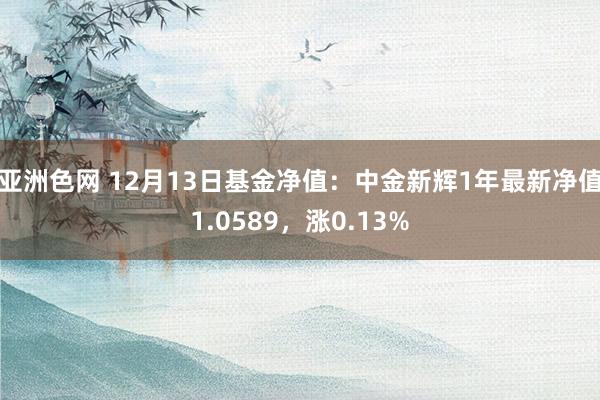 亚洲色网 12月13日基金净值：中金新辉1年最新净值1.0589，涨0.13%