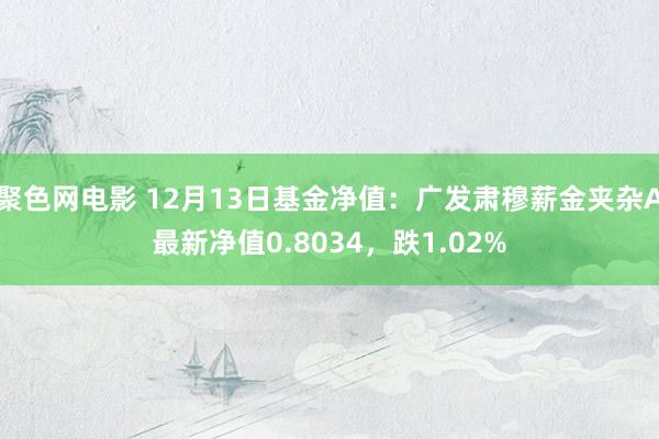 聚色网电影 12月13日基金净值：广发肃穆薪金夹杂A最新净值0.8034，跌1.02%