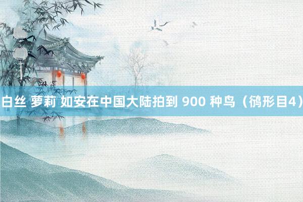 白丝 萝莉 如安在中国大陆拍到 900 种鸟（鸻形目4）