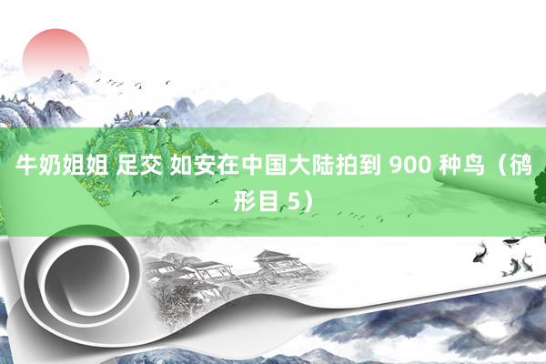 牛奶姐姐 足交 如安在中国大陆拍到 900 种鸟（鸻形目 5）