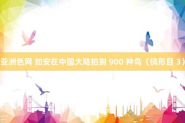 亚洲色网 如安在中国大陆拍到 900 种鸟（鸻形目 3）