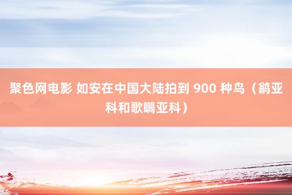 聚色网电影 如安在中国大陆拍到 900 种鸟（鹟亚科和歌䳭亚科）