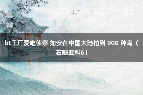 bt工厂爱唯侦察 如安在中国大陆拍到 900 种鸟（石䳭亚科6）