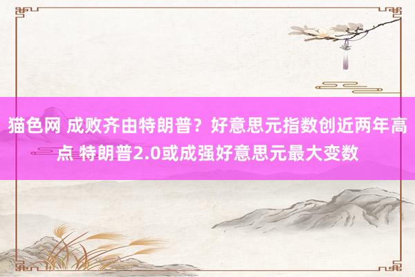 猫色网 成败齐由特朗普？好意思元指数创近两年高点 特朗普2.0或成强好意思元最大变数