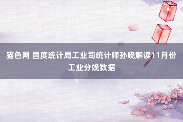 猫色网 国度统计局工业司统计师孙晓解读11月份工业分娩数据