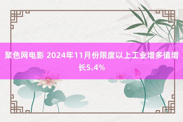 聚色网电影 2024年11月份限度以上工业增多值增长5.4%