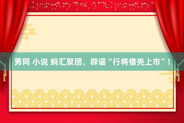 男同 小说 蚂汇聚团，辟谣“行将借壳上市”！