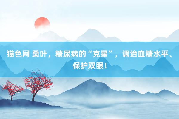 猫色网 桑叶，糖尿病的“克星”，调治血糖水平、保护双眼！