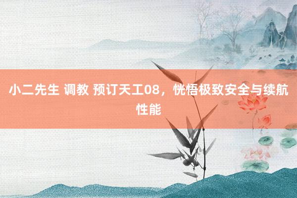 小二先生 调教 预订天工08，恍悟极致安全与续航性能