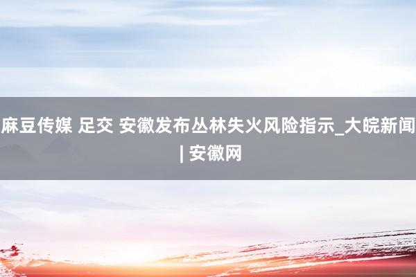 麻豆传媒 足交 安徽发布丛林失火风险指示_大皖新闻 | 安徽网
