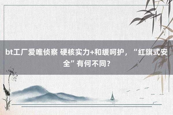 bt工厂爱唯侦察 硬核实力+和缓呵护，“红旗式安全”有何不同？