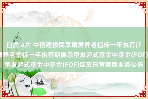 白虎 a片 中信建投民享肃肃养老指标一年执有(FOF): 中信建投民享肃肃养老指标一年执有期羼杂型发起式基金中基金(FOF)绽放日常赎回业务公告