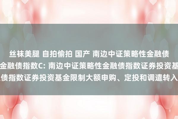 丝袜美腿 自拍偷拍 国产 南边中证策略性金融债指数A,南边中证策略性金融债指数C: 南边中证策略性金融债指数证券投资基金限制大额申购、定投和调遣转入业务的公告