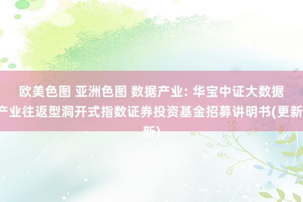 欧美色图 亚洲色图 数据产业: 华宝中证大数据产业往返型洞开式指数证券投资基金招募讲明书(更新)
