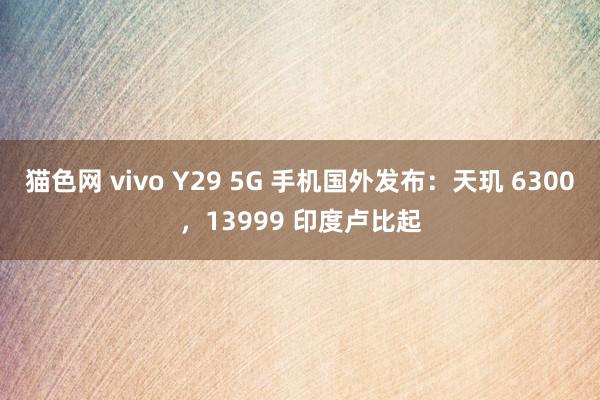猫色网 vivo Y29 5G 手机国外发布：天玑 6300，13999 印度卢比起
