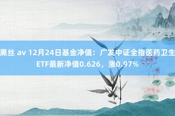黑丝 av 12月24日基金净值：广发中证全指医药卫生ETF最新净值0.626，涨0.97%