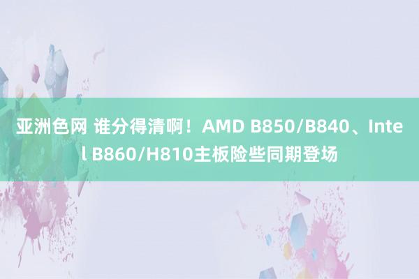 亚洲色网 谁分得清啊！AMD B850/B840、Intel B860/H810主板险些同期登场
