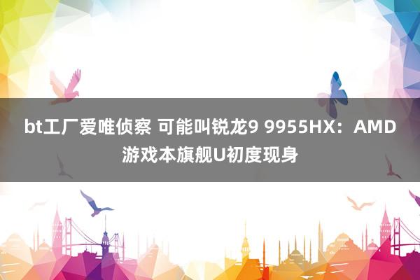 bt工厂爱唯侦察 可能叫锐龙9 9955HX：AMD游戏本旗舰U初度现身
