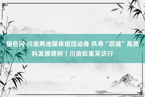 猫色网 川渝两地媒体组团动身 共寻“双城”高质料发展建树｜川渝蚁集采访行