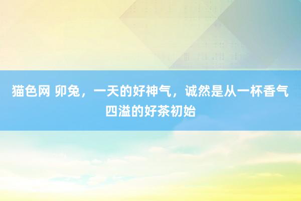 猫色网 卯兔，一天的好神气，诚然是从一杯香气四溢的好茶初始