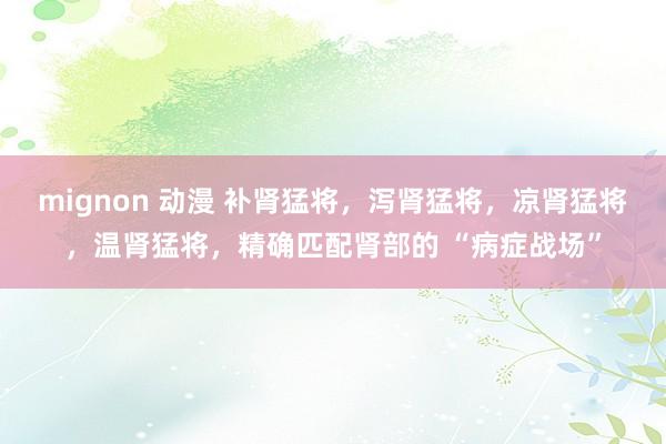 mignon 动漫 补肾猛将，泻肾猛将，凉肾猛将，温肾猛将，精确匹配肾部的 “病症战场”