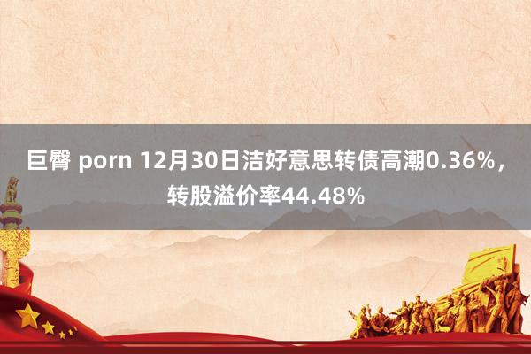 巨臀 porn 12月30日洁好意思转债高潮0.36%，转股溢价率44.48%
