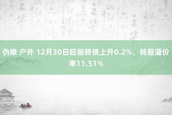 伪娘 户外 12月30日旺能转债上升0.2%，转股溢价率11.51%