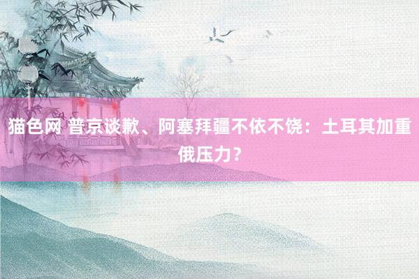 猫色网 普京谈歉、阿塞拜疆不依不饶：土耳其加重俄压力？